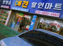 쌍방울애견전시장