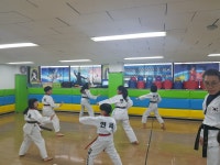 연세태권도