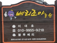 베리조아농원 블루베리체험