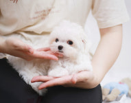 키즈멍 안양본점