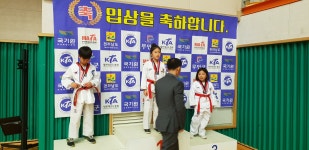 정무태권도