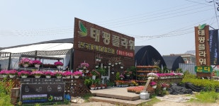 태평플라워