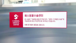 울산에스동물메디컬센터