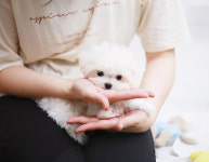 키즈멍 안양본점