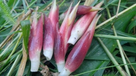 산내6차산업영농조합법인