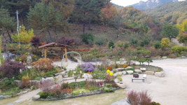 숲속정원펜션