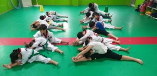 새고려태권도