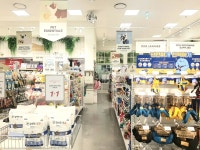 웰니스 클리닉 청계천점