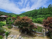 구천동송어마을