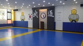 용인대아이원태권도