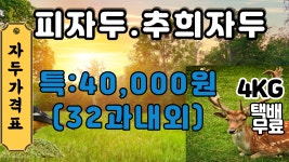 문애자두농장