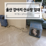 재이웰스