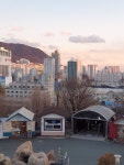 시네아트