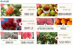 충북농원