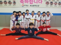 LTA태권도장