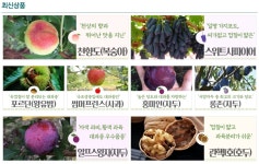 충북농원