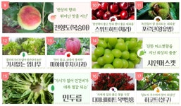 충북농원