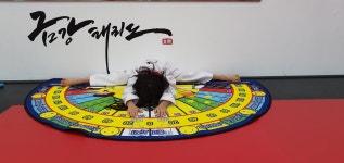 금강태권도
