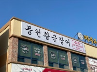 황금장어