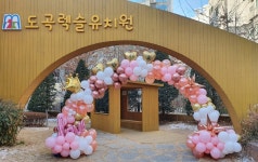 봉스파티 용인기흥풍선
