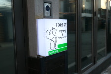 포레스트캣호텔