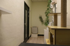 포레스트캣호텔