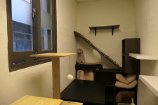 포레스트캣호텔