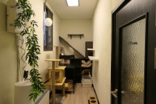 포레스트캣호텔