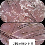 수아헤어앤가발 | 수아헤어