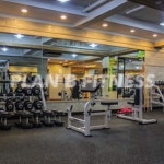 플랜비휘트니스