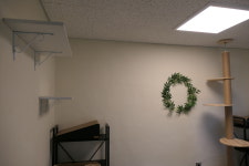 포레스트캣호텔