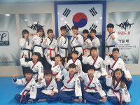 용인대국가대표태권도