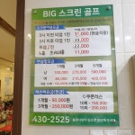 빅스크린골프