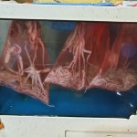 은현수산