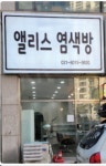 앨리스염색방