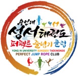 용인대성서태권도