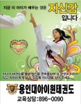 용인대아이원태권도