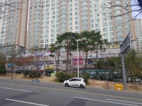 동아대이지태권도