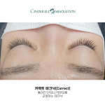 신데렐라아미솔루션 본점