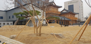 제이비관광호텔