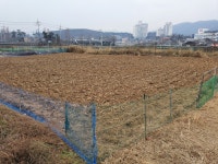 이씨네 농사드림