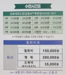 강호태권도
