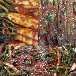 종점 모텔 식당