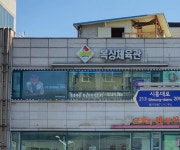 팀와일드울프