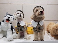 오올치유치원&미용