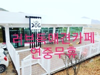 러브독애견훈련소