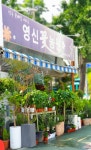 영신꽃농원