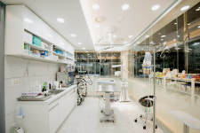 닥터차동물병원 내포점