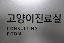비타민동물메디컬센터