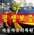 일산 자동차유리복원